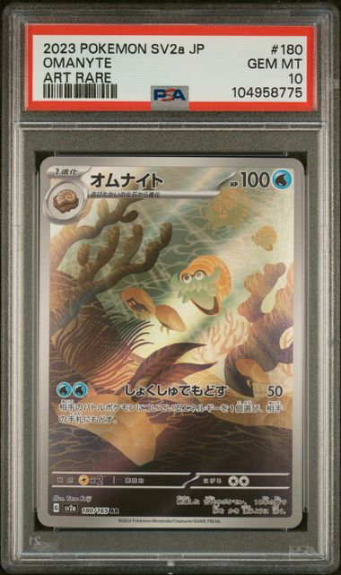 Omanyte  S&V 151 | #180/165